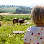 Siber Owingen